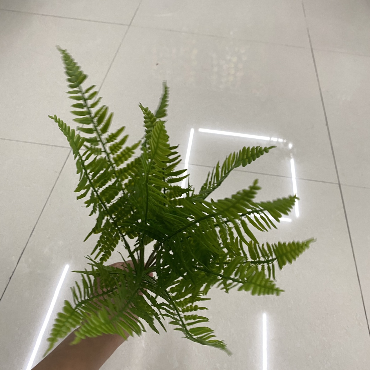 Dark cuttings