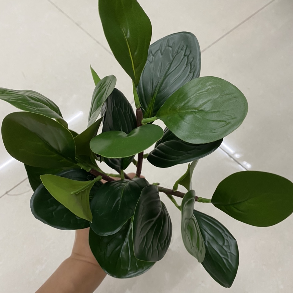 Dark green bunches