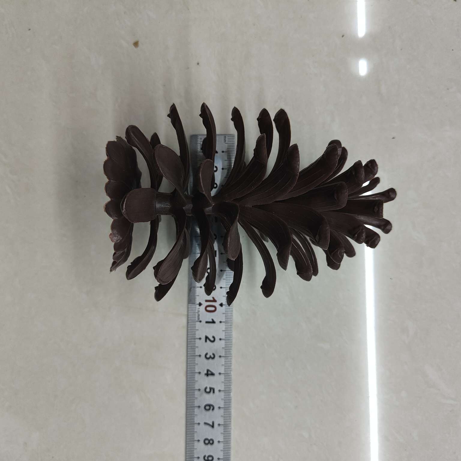 仿真大号塑料松果假花配件PE拍摄道具圣诞装饰摆件详情图10