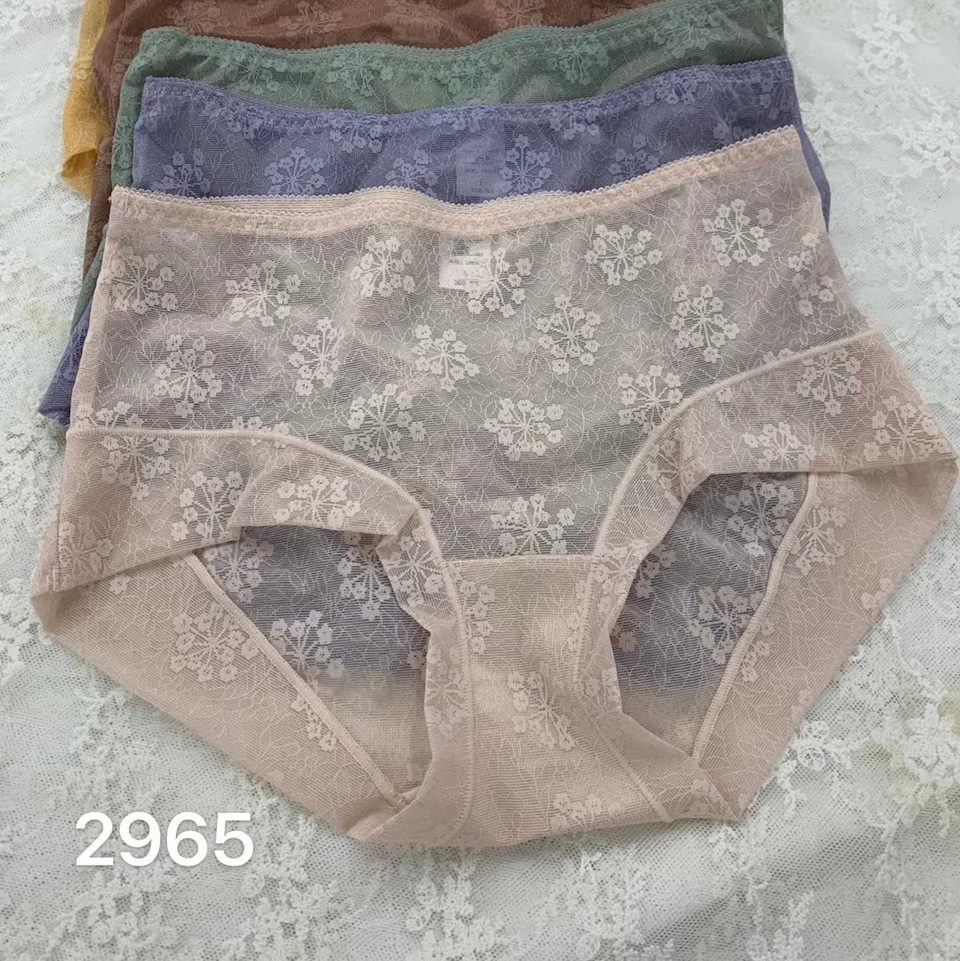 2965女内裤