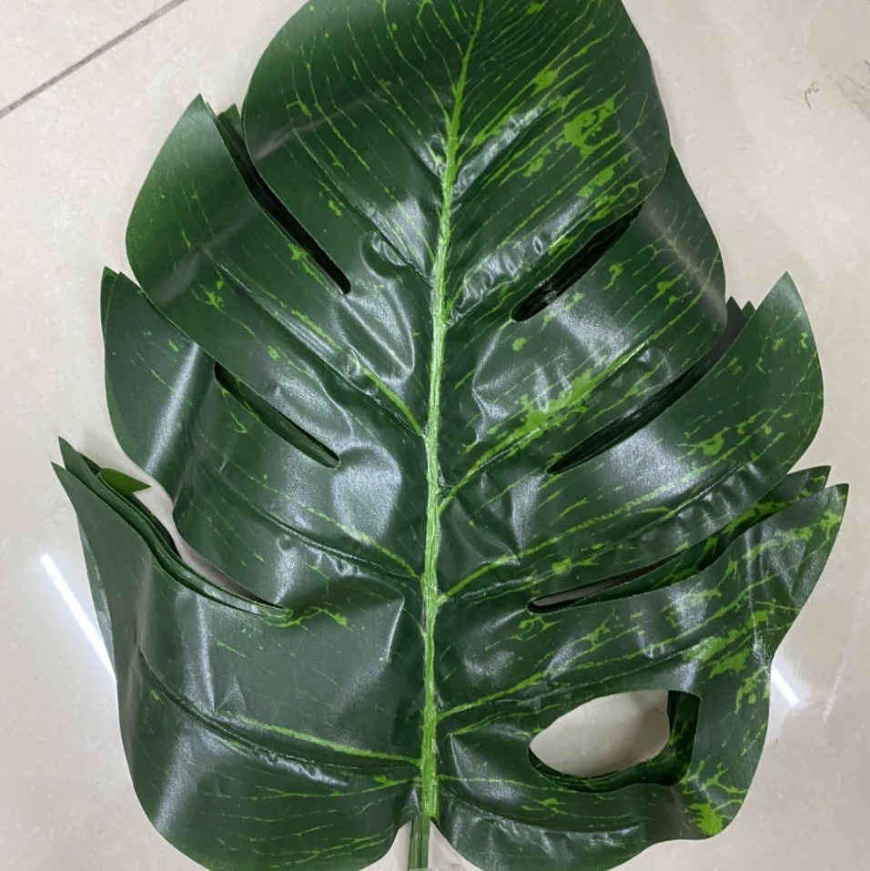 Cave Cave banana leaves