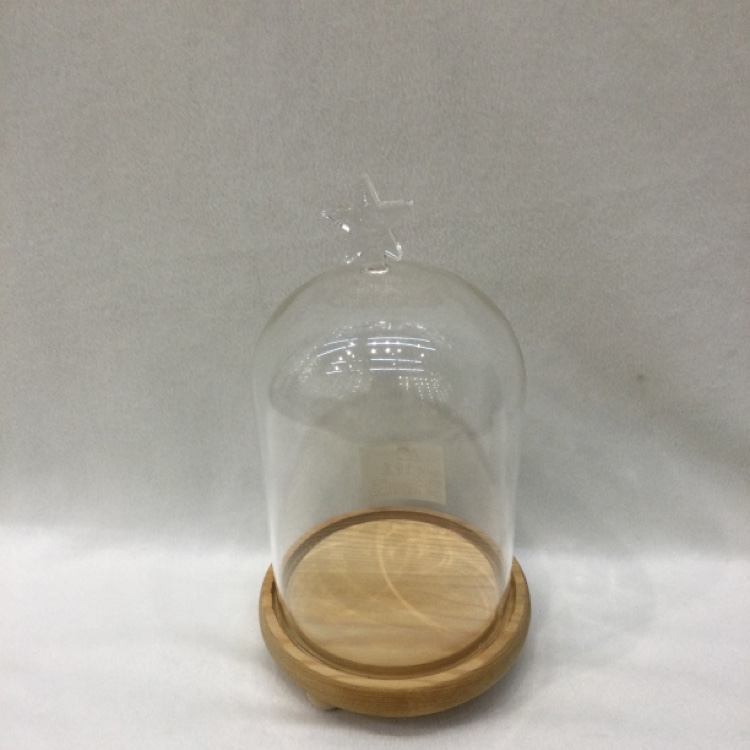 Nordic style creative design with wooden bottom glass cover home decoration vase