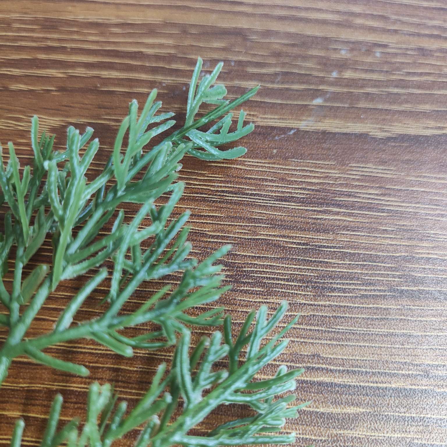 仿真绿植仿真植物摆件塑料水草仿真园艺装饰品444详情图7