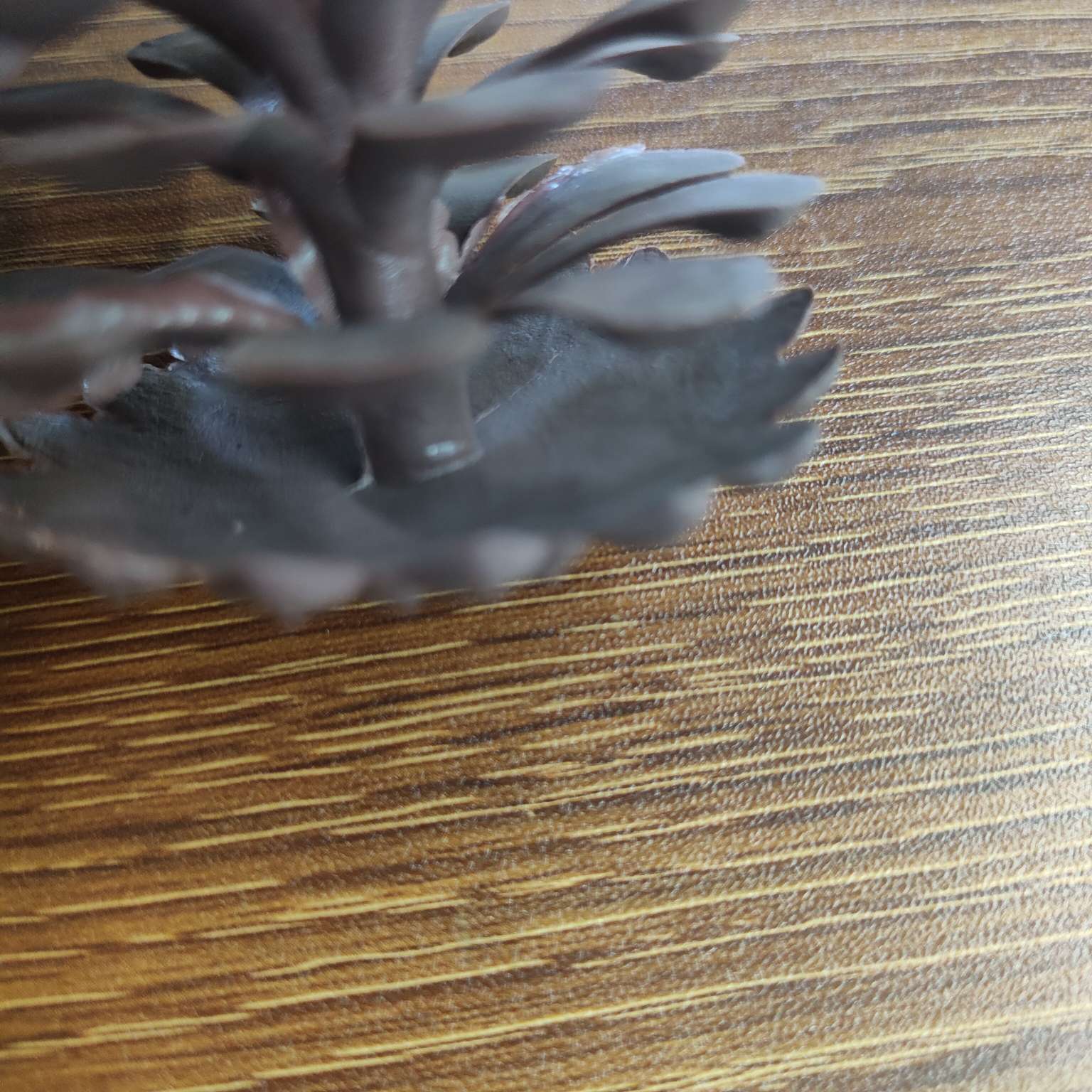 塑料仿真松果假花配件圣诞PE装饰7.5CM详情图12