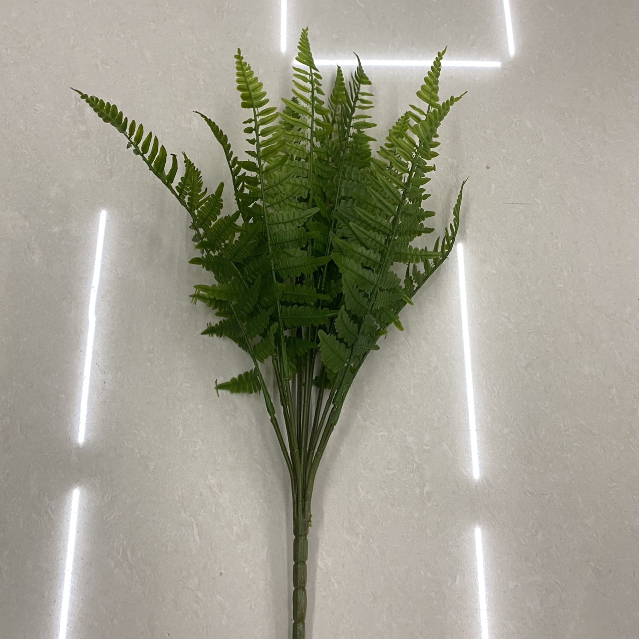 Dark green plant