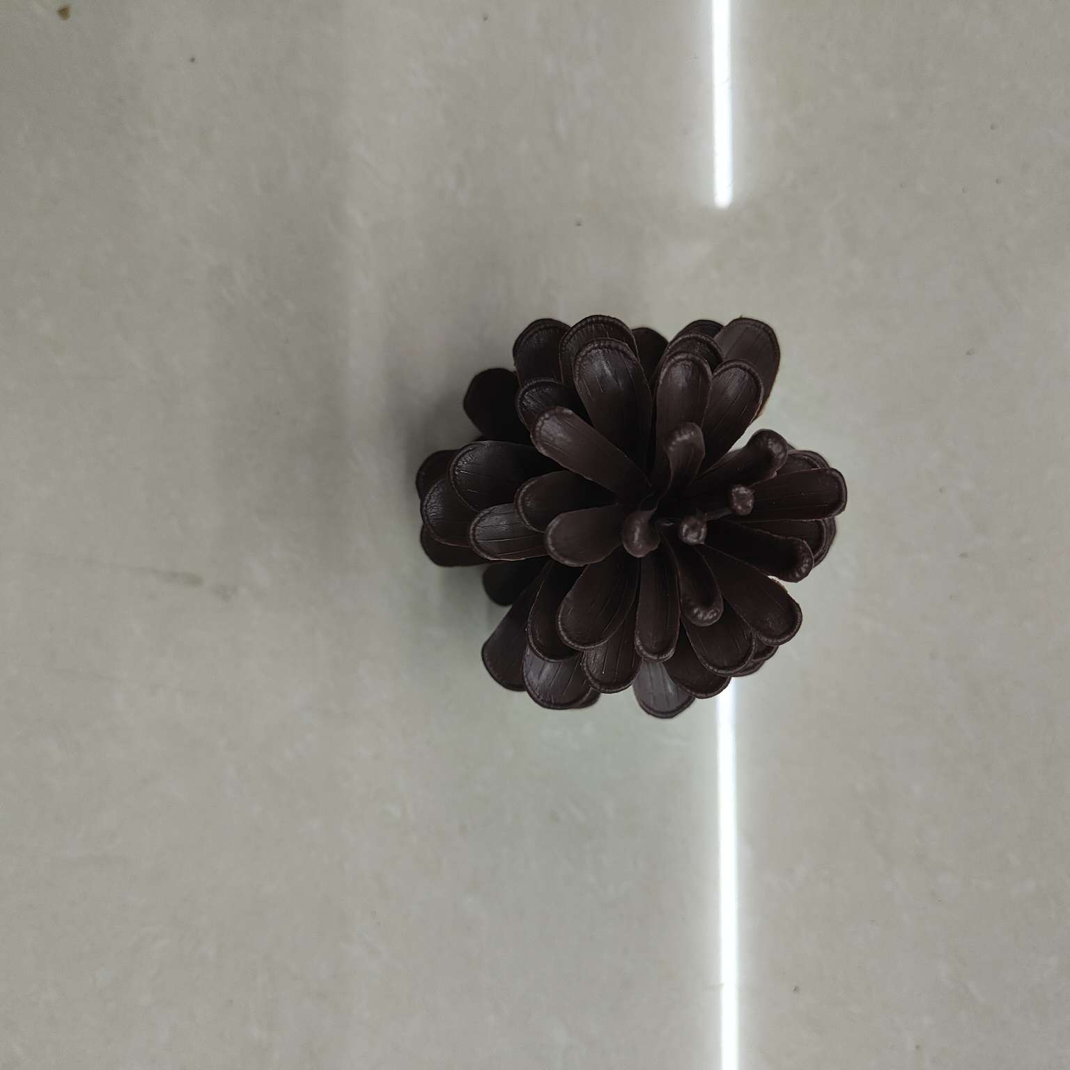 仿真大号塑料松果假花配件PE拍摄道具圣诞装饰摆件详情图5