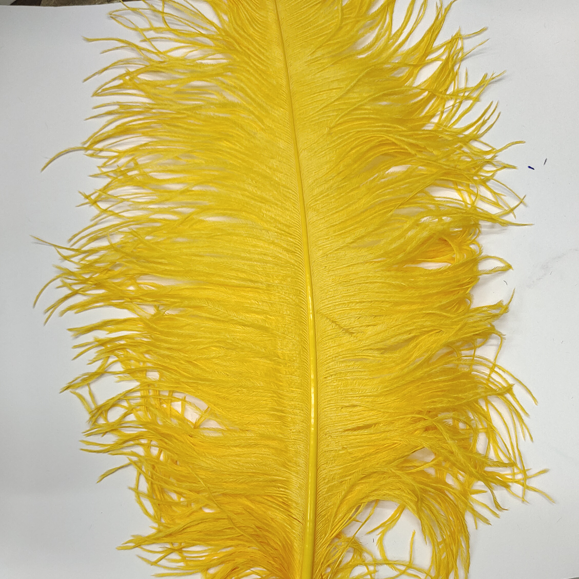 Ostrich feathers 40-45 cm golden yellow