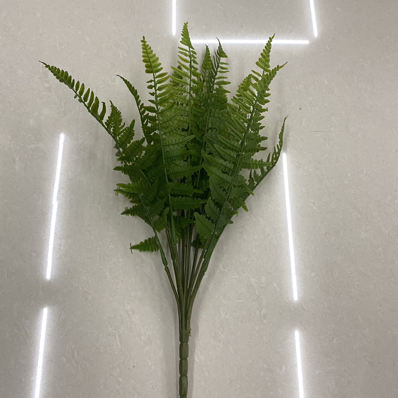 A bunch of dark green grass