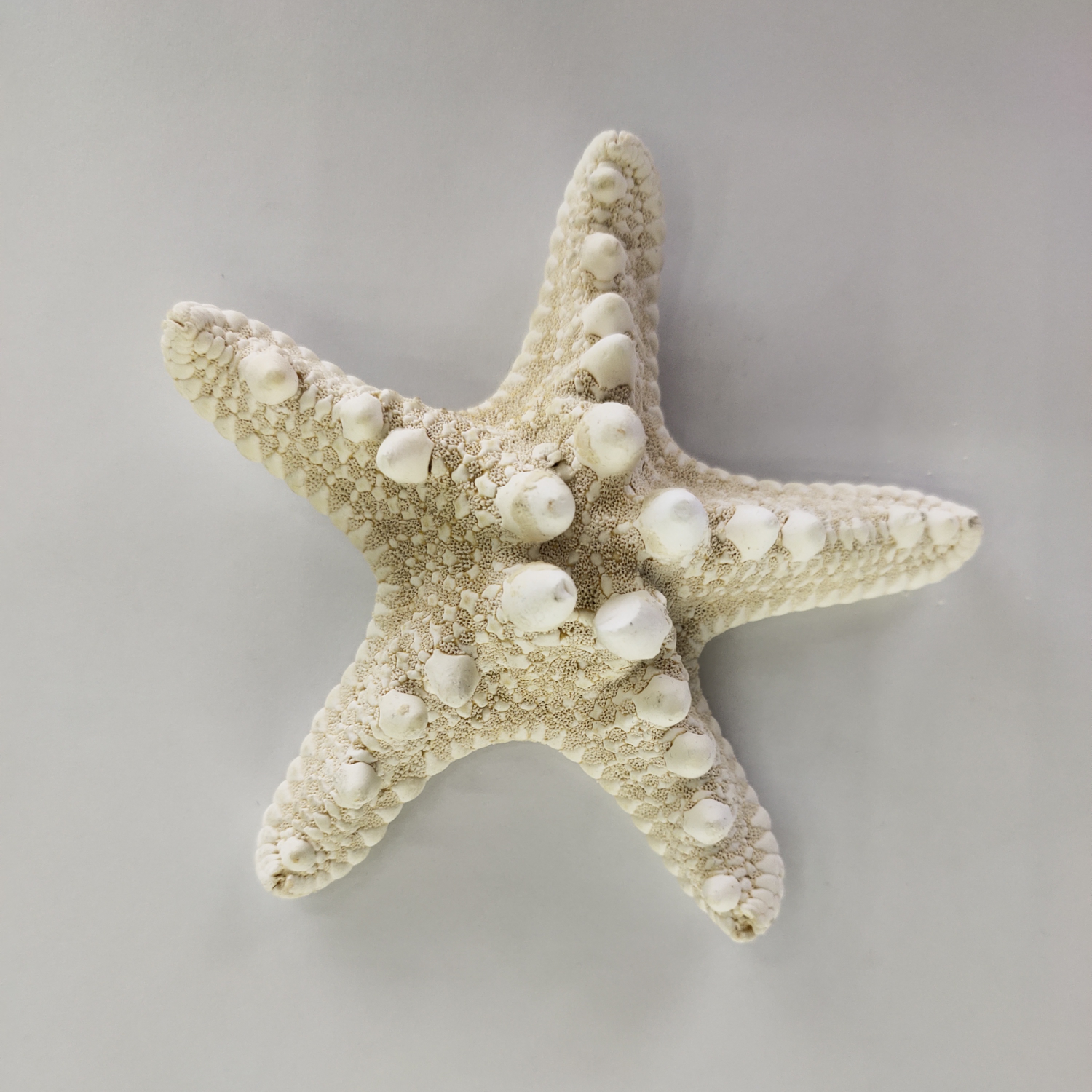 Starfish