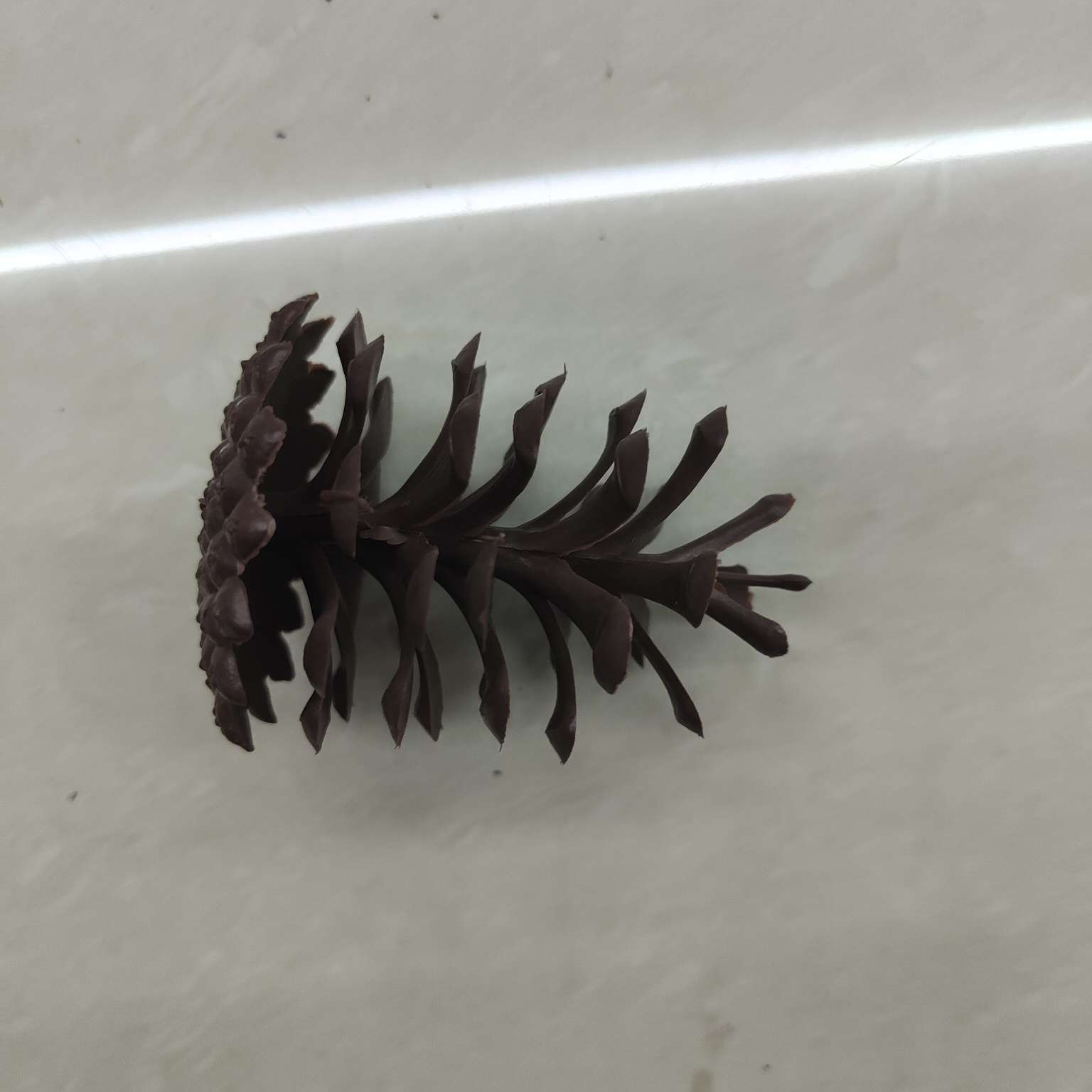 塑料仿真松果假花配件圣诞PE装饰7.5CM详情图3