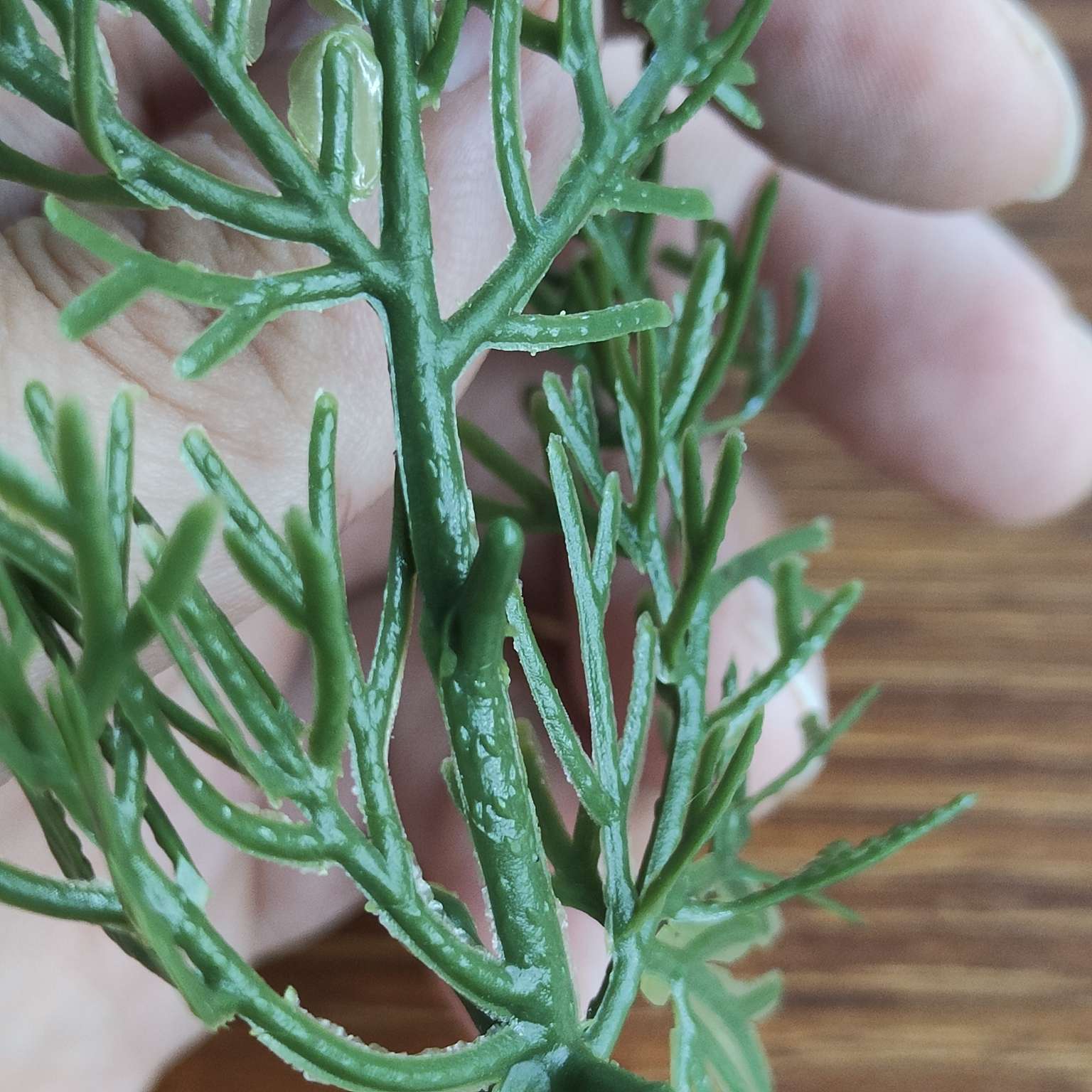 仿真绿植仿真植物摆件塑料水草仿真园艺装饰品444详情图4