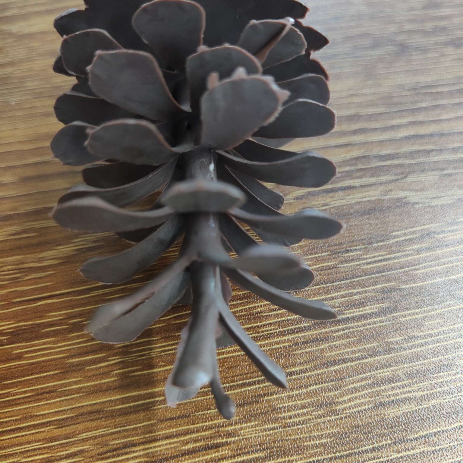 塑料仿真松果假花配件圣诞PE装饰7.5CM详情图13