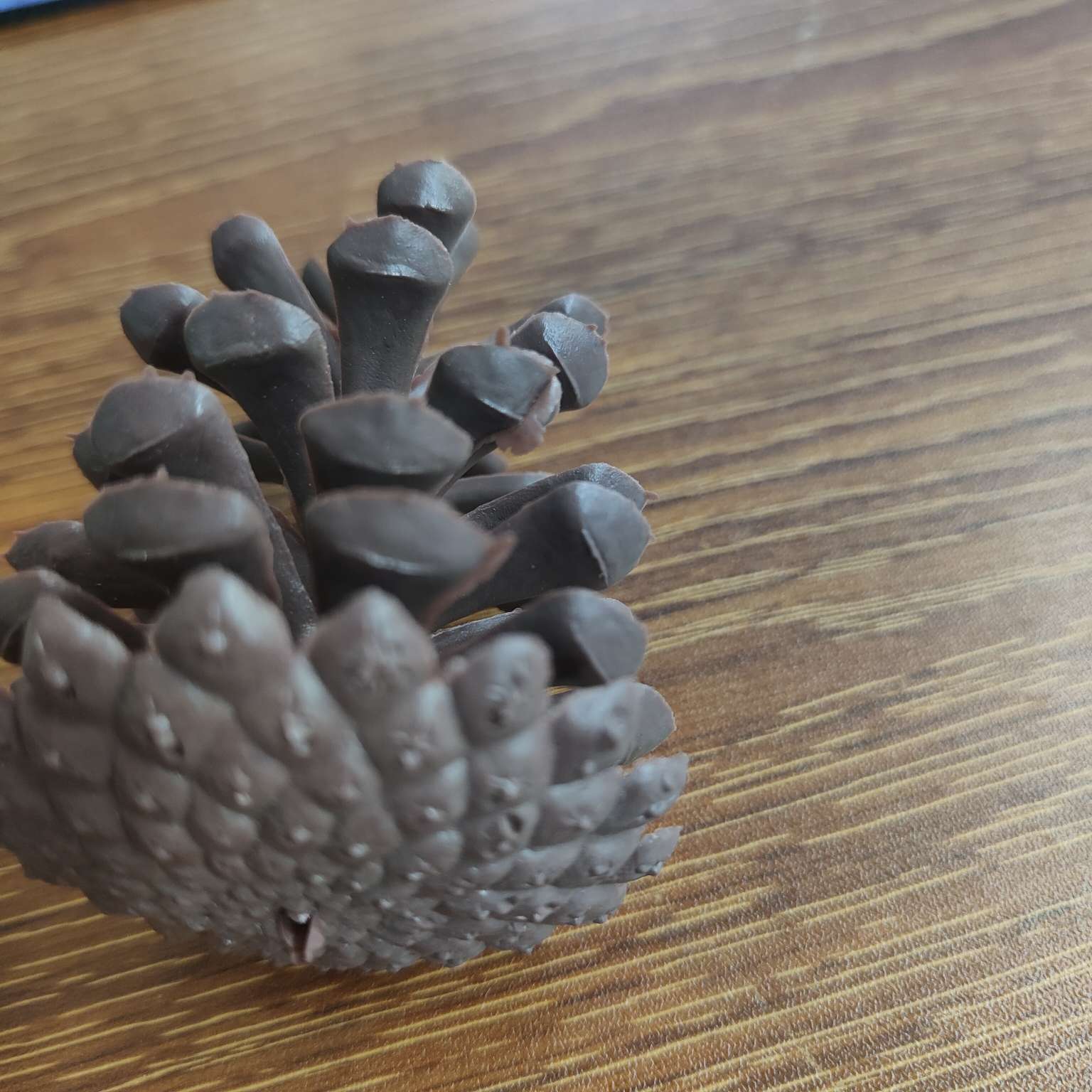 塑料仿真松果假花配件圣诞PE装饰7.5CM详情图15