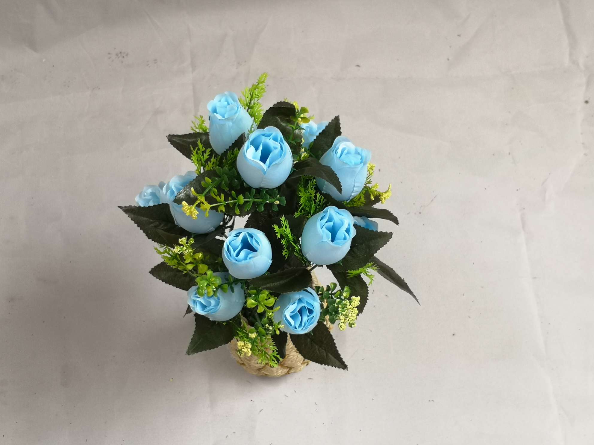 12头银针蕾详情图3