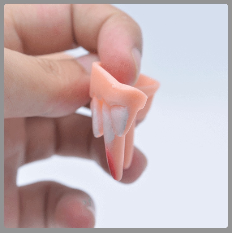 Popular Halloween props in foreign trade: single-layer zombie false teeth braces, April Fool's Day prank vampire teeth toys detail image 6