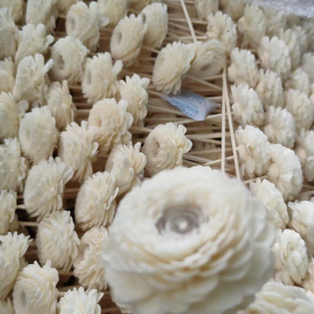 The fragrant herb flower is the heart-shaped chrysanthemum