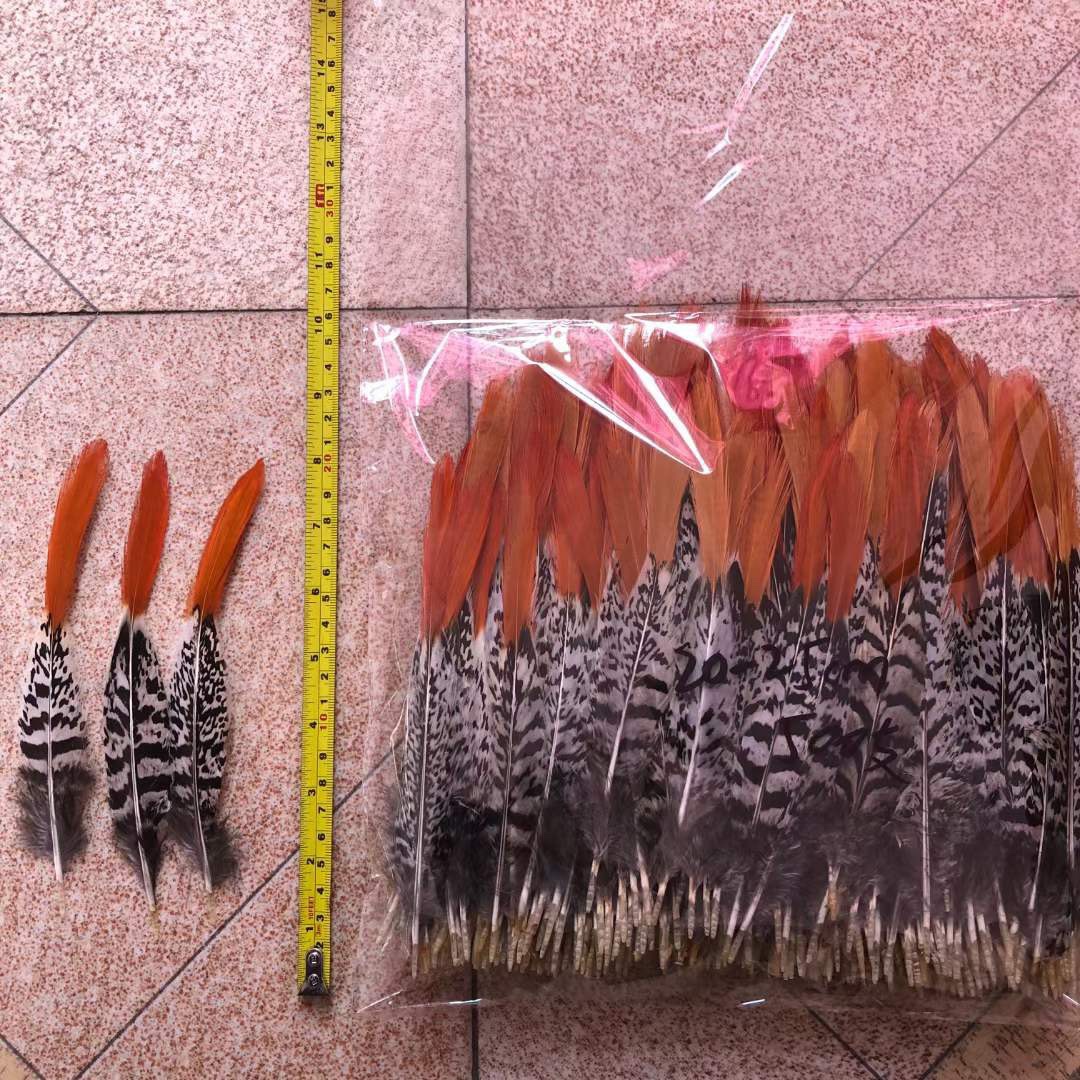 Pheasant red arrow hair