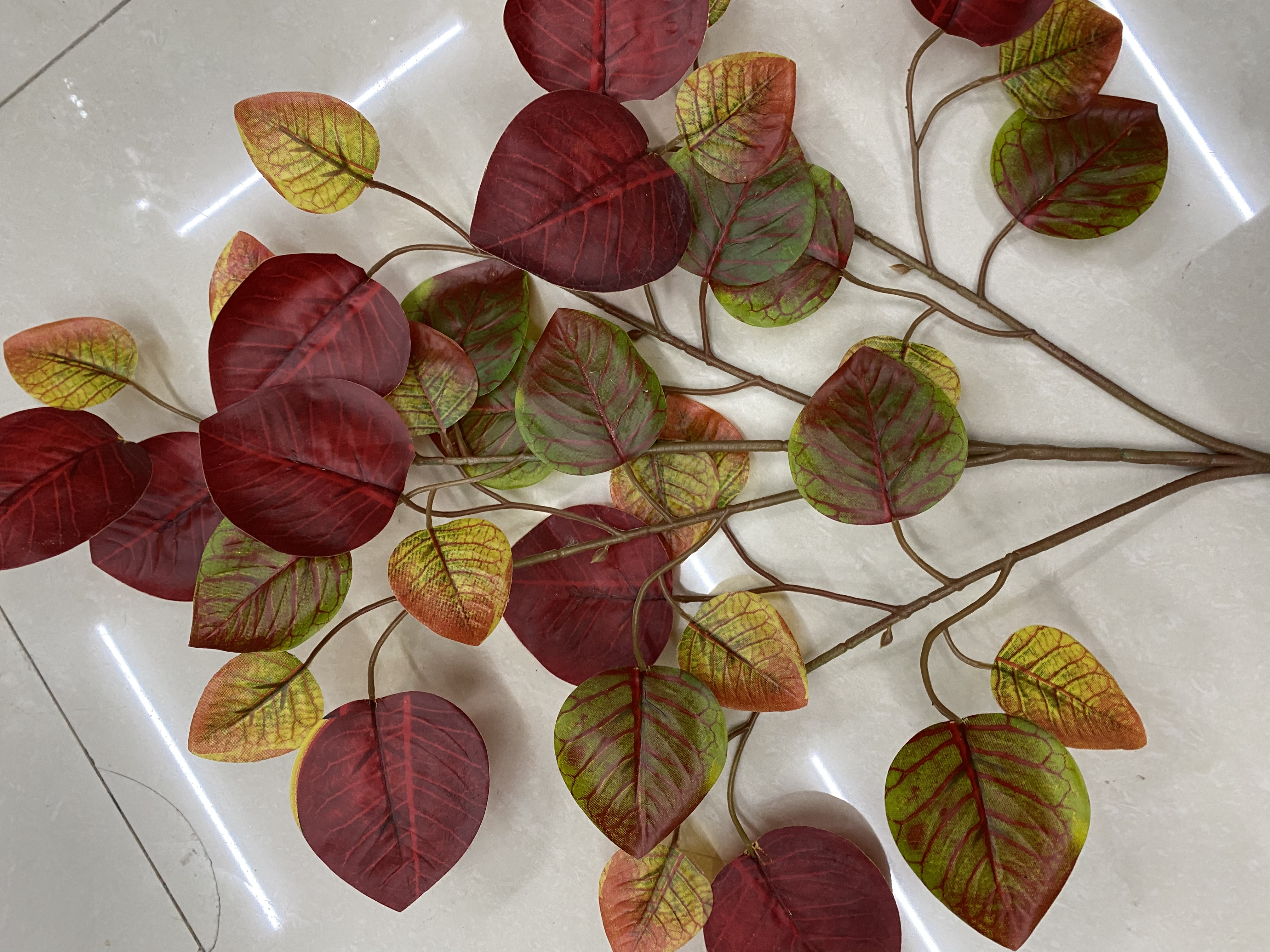 Colorful maple leaves detail image 6