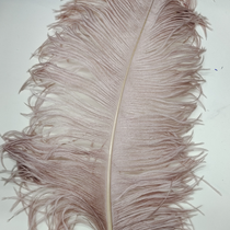 Ostrich feathers 40-45 cm light flesh pink