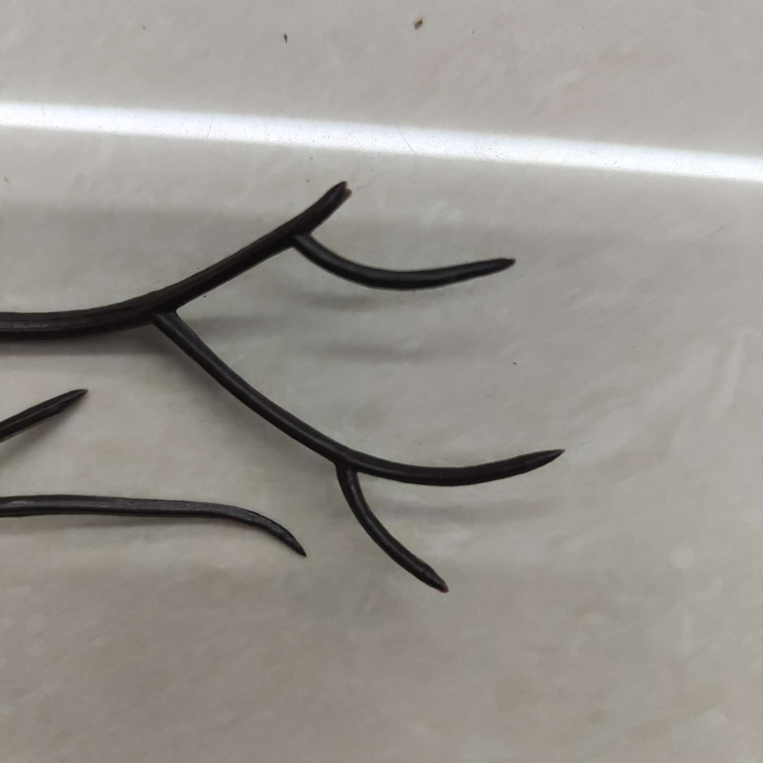 圣诞装饰圣诞配件圣诞节礼物拍摄道具仿真鹿角详情图1