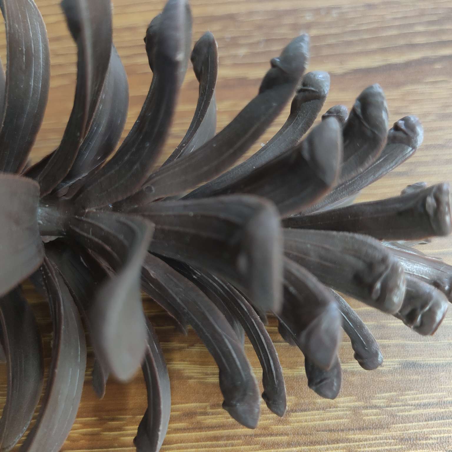 仿真大号塑料松果假花配件PE拍摄道具圣诞装饰摆件详情图8