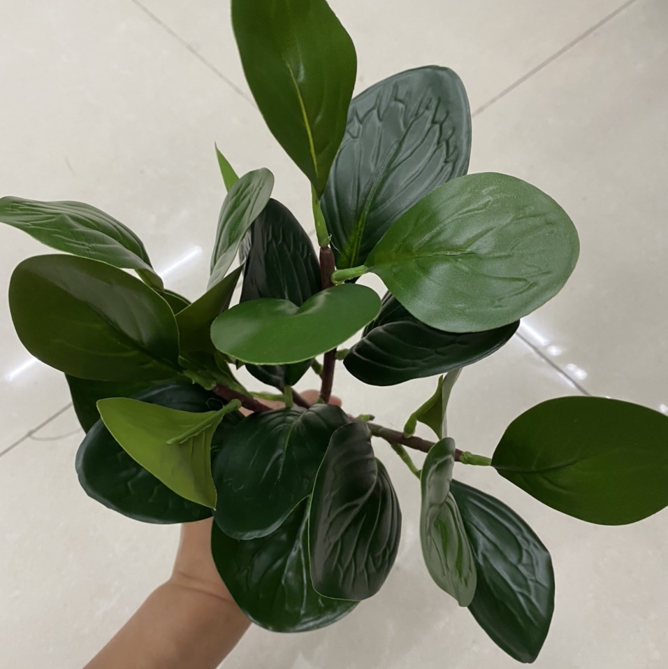 13 leaves Bazaar