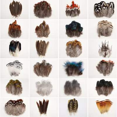 Pheasant craft feathers