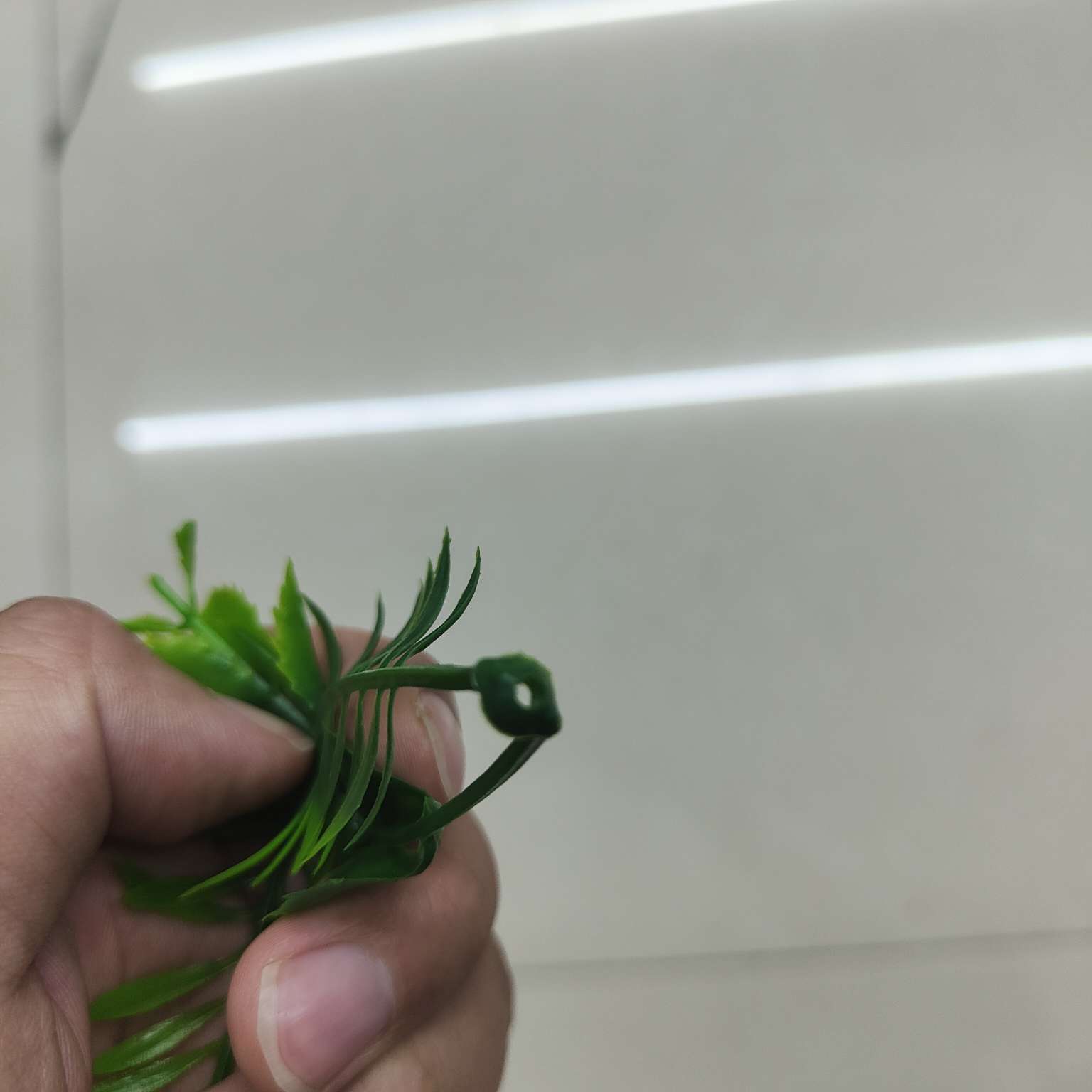 仿真绿植仿真植物摆件塑料水草仿真园艺装饰品456详情图5