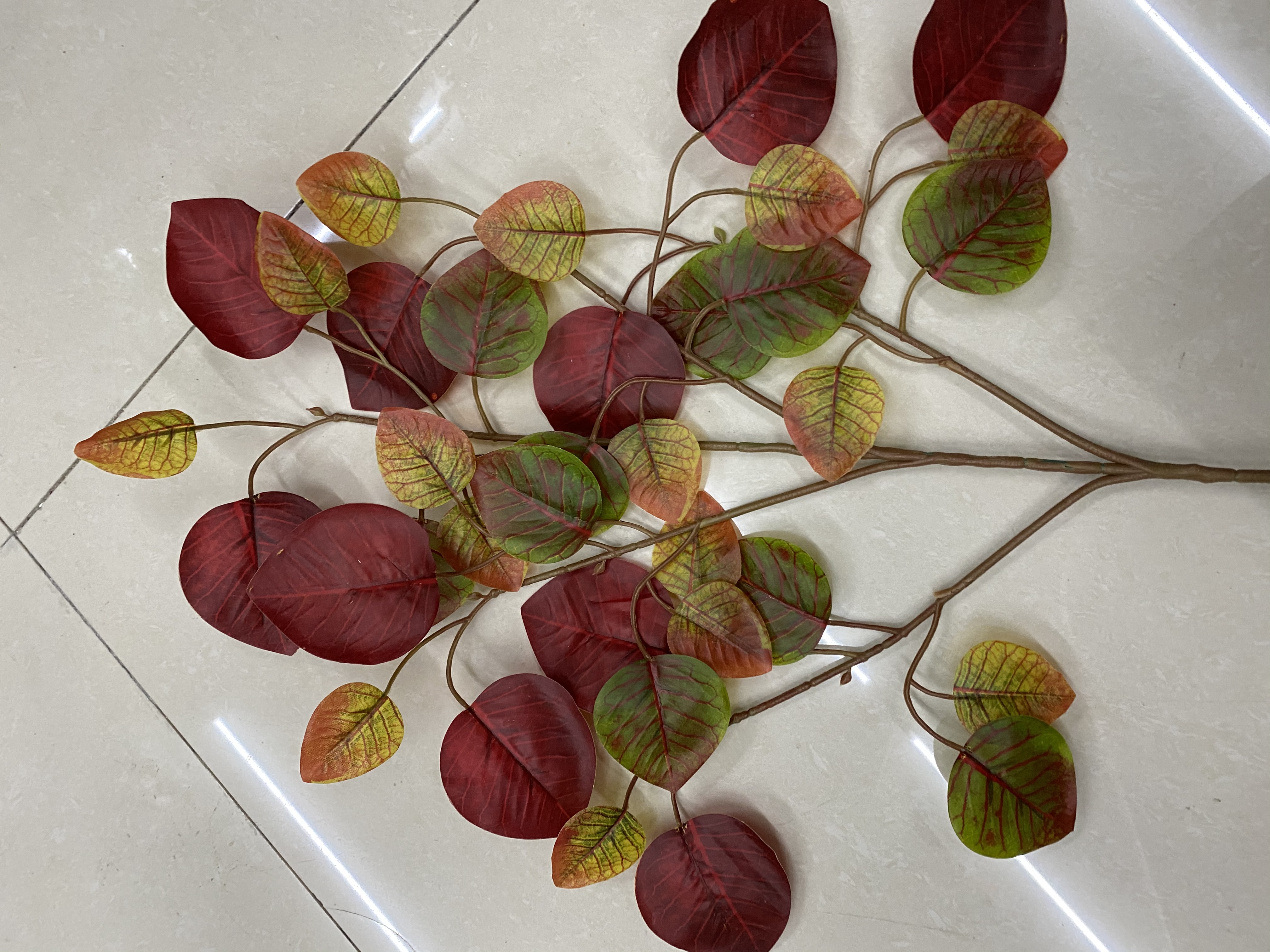 Colorful maple leaves details Picture