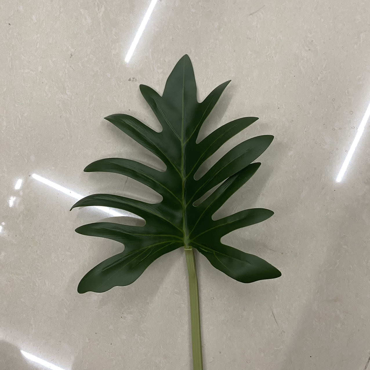 Dark fish bone leaves