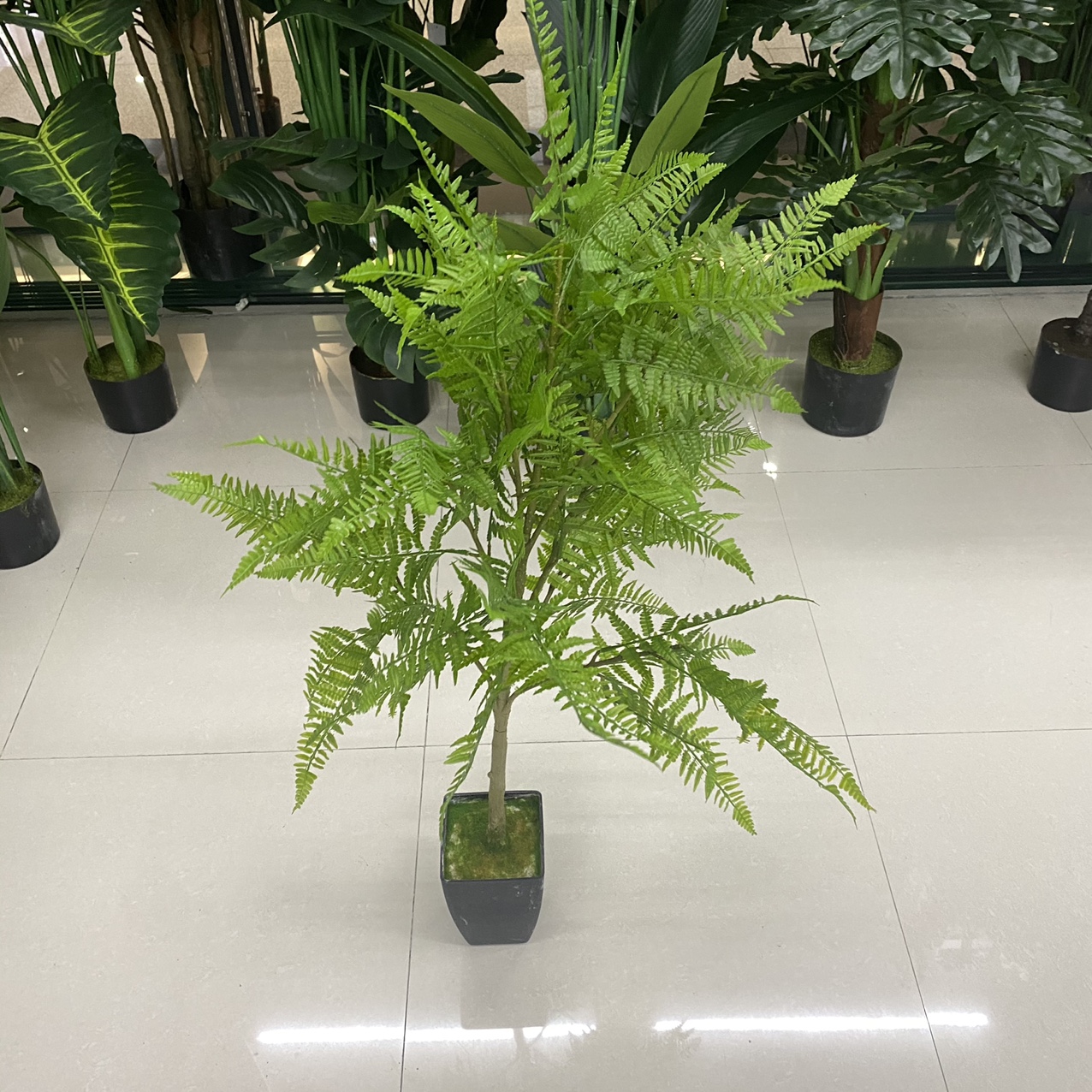 Little hundred tree flower
