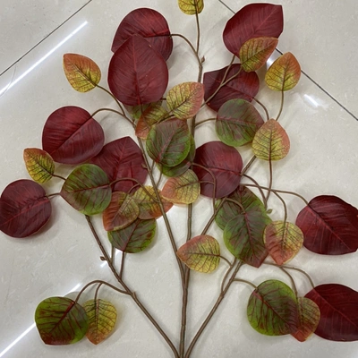 Multicolored maple leaves thumbnail