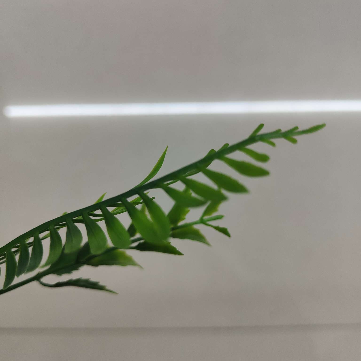 仿真绿植仿真植物摆件塑料水草仿真园艺装饰品456详情图1