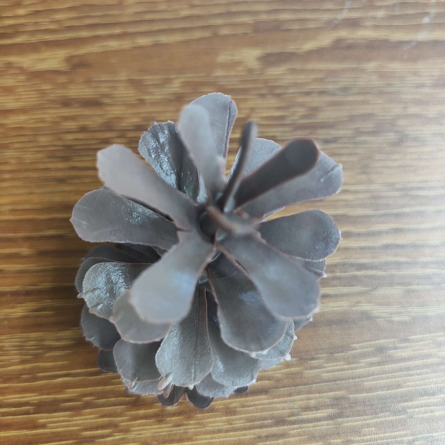 塑料仿真松果假花配件圣诞PE装饰7.5CM细节图