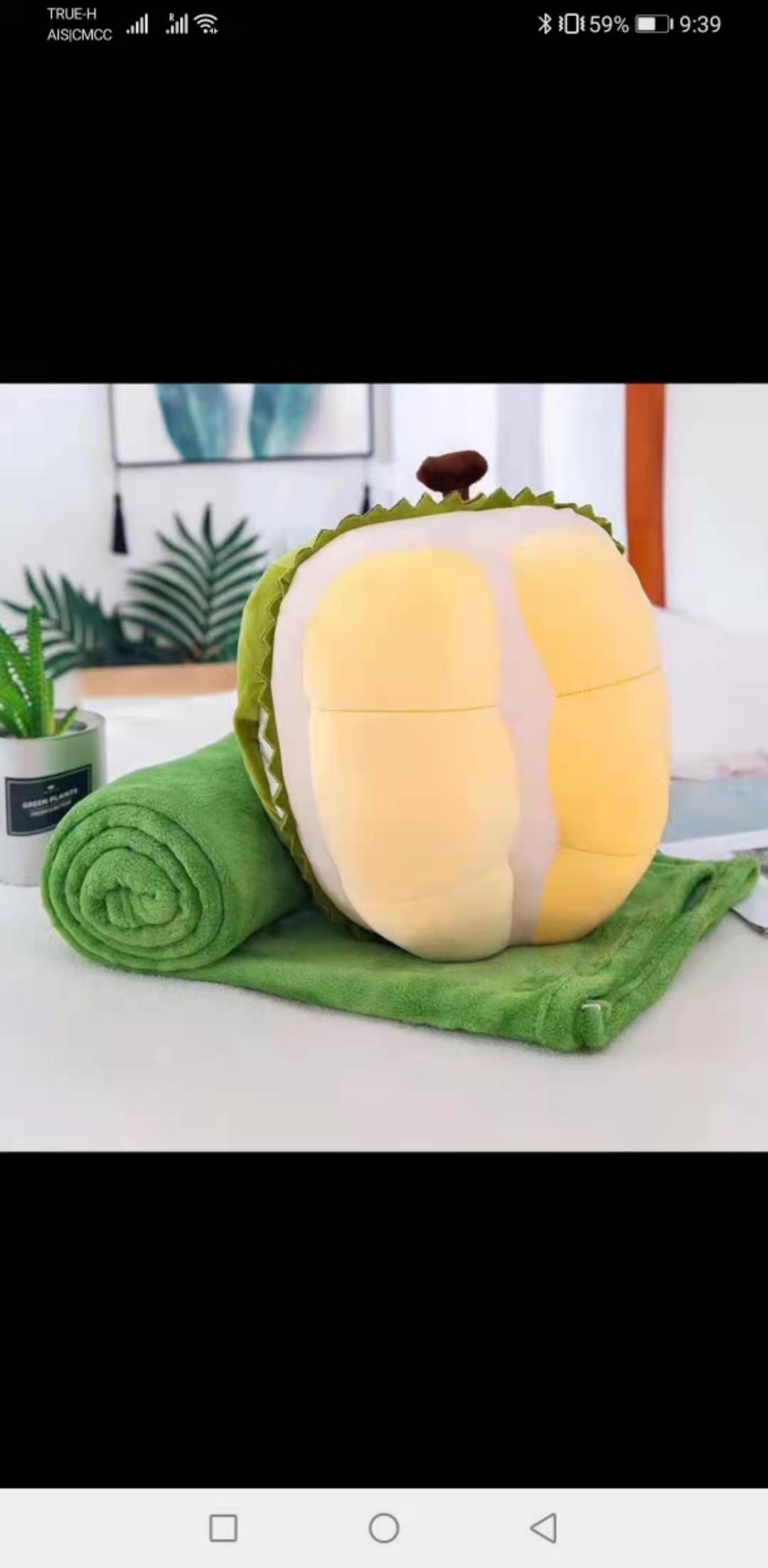 榴莲空调被产品图