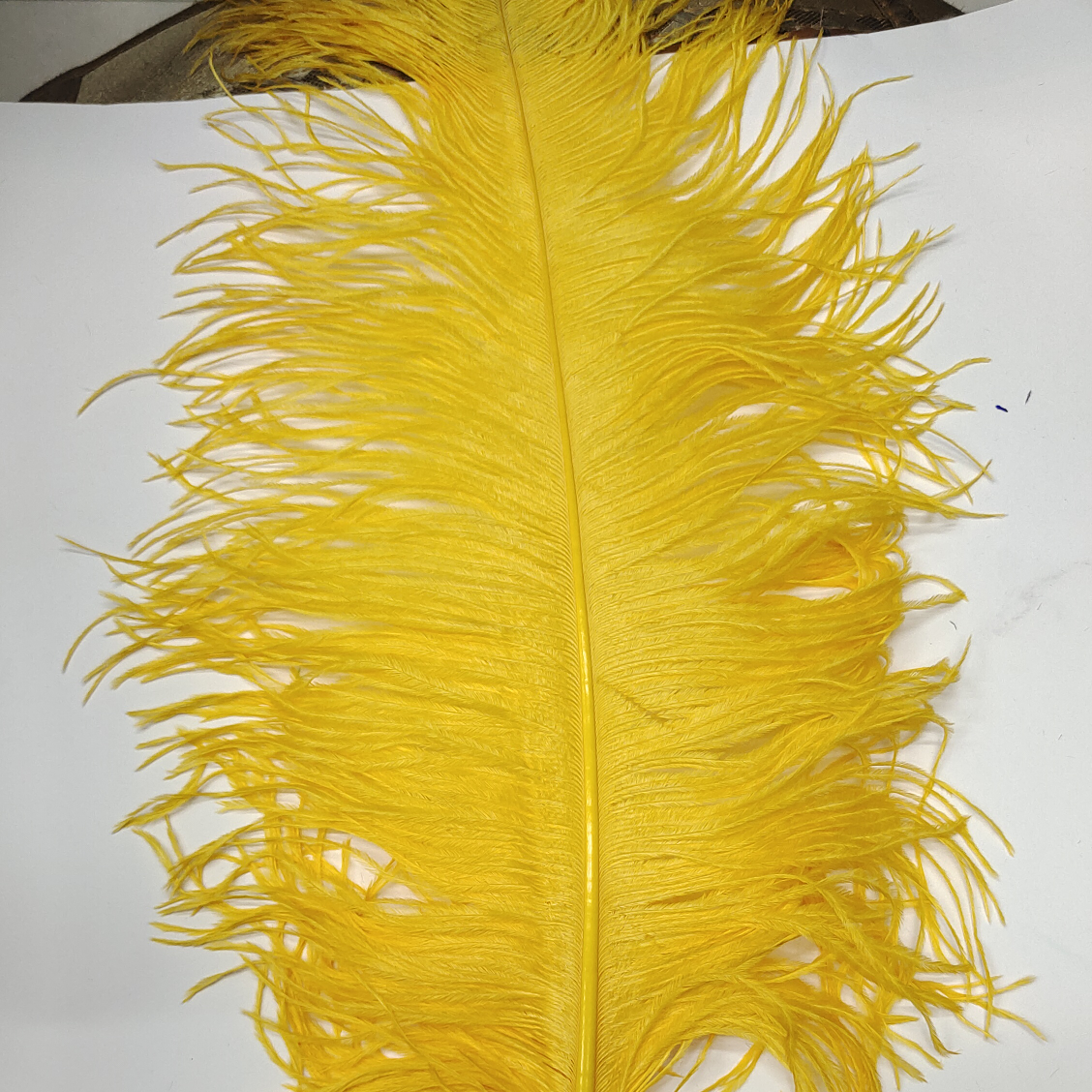 Ostrich feathers 35-40 cm golden yellow
