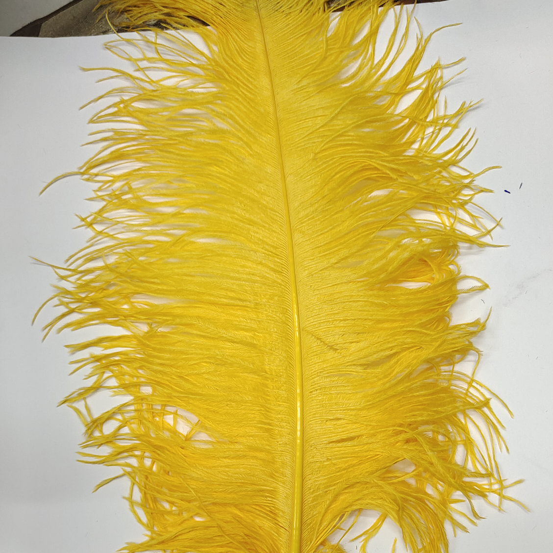 Ostrich feathers 30-35 cm golden yellow