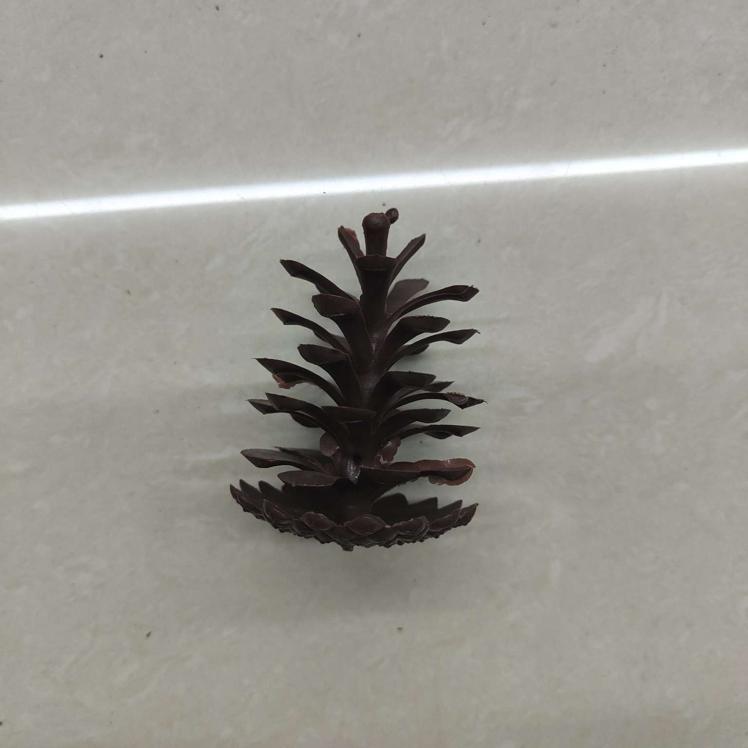 塑料仿真松果假花配件圣诞PE装饰7.5CM详情图18