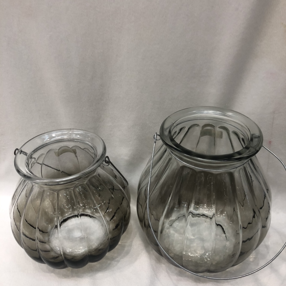 Exquisite electroplated iron vase glass plug-in vase office home decoration thumbnail