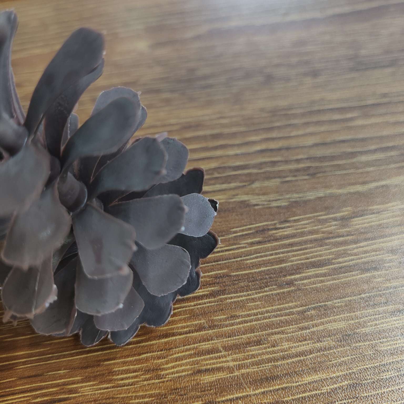 塑料仿真松果假花配件圣诞PE装饰7.5CM详情图19