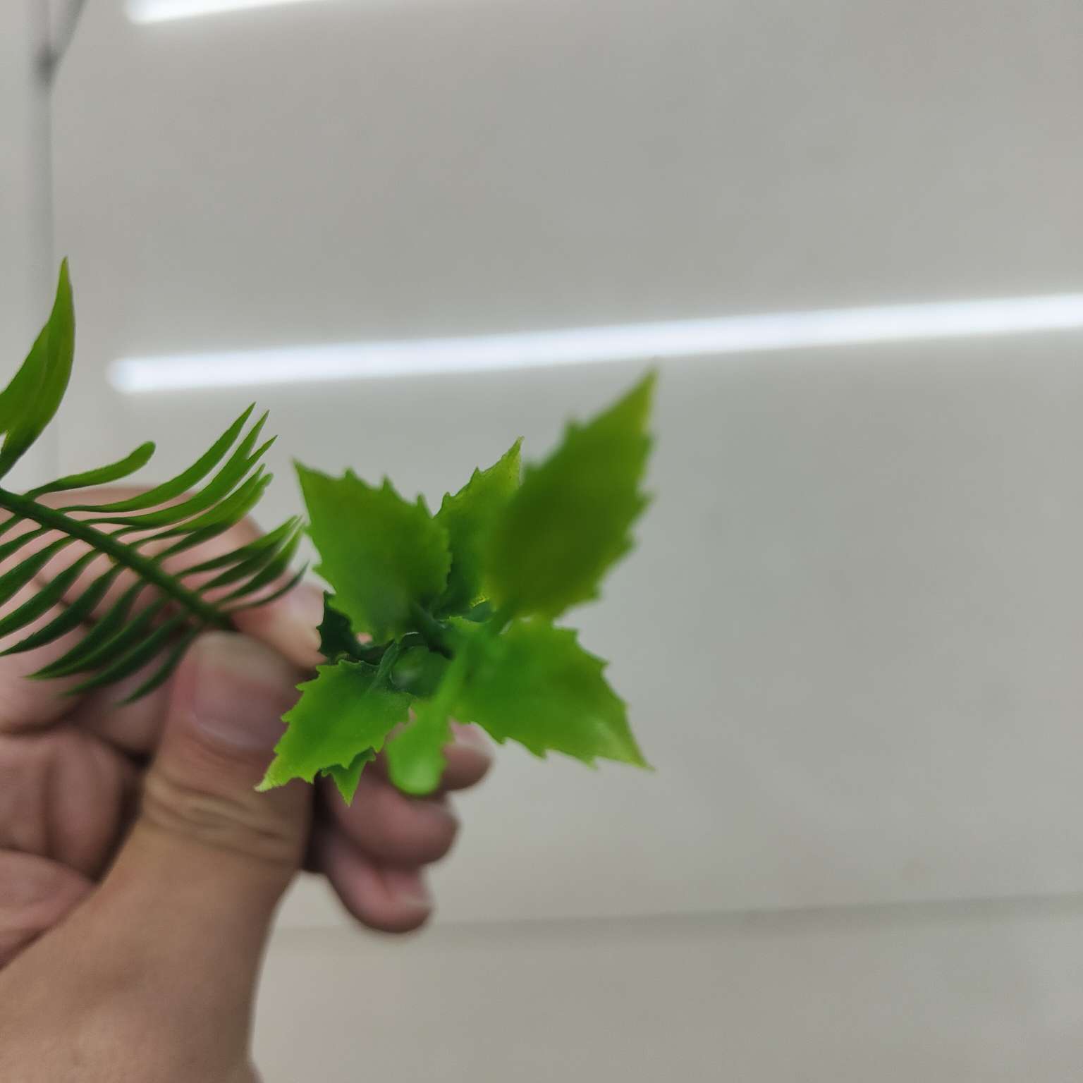 仿真绿植仿真植物摆件塑料水草仿真园艺装饰品456详情图2