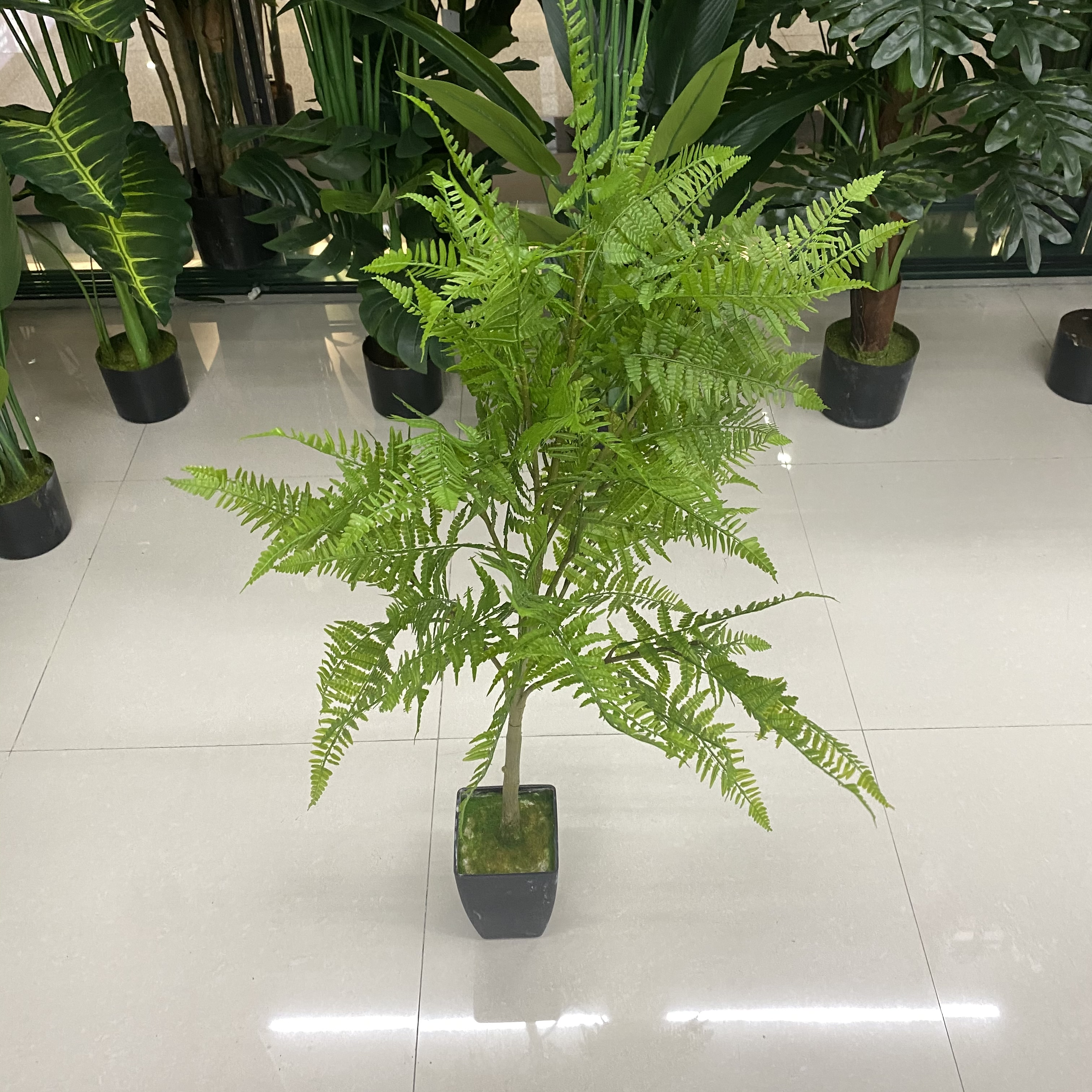 The small blinds tree is small Application Scenario