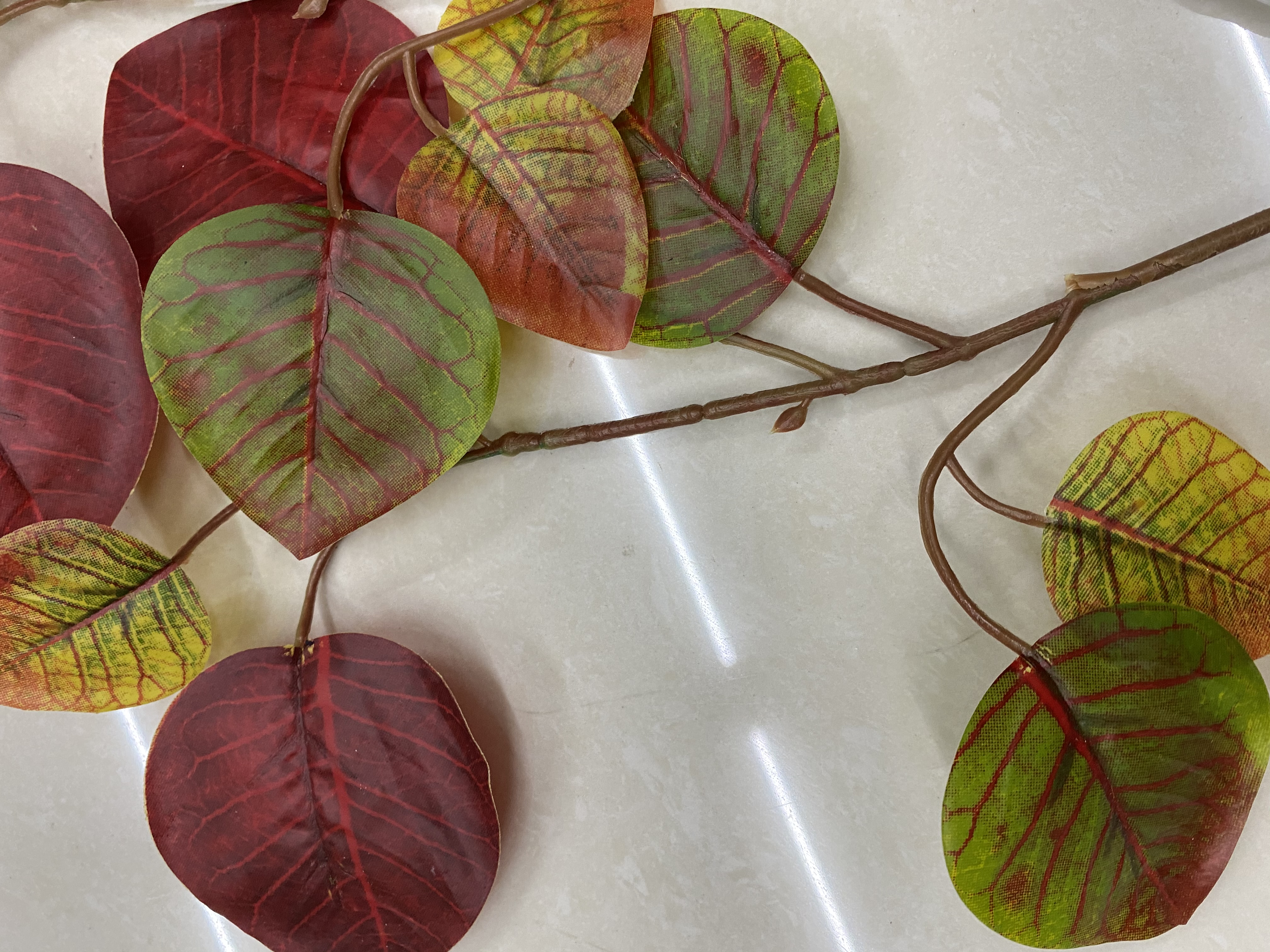 Colorful maple leaves Application Scenario