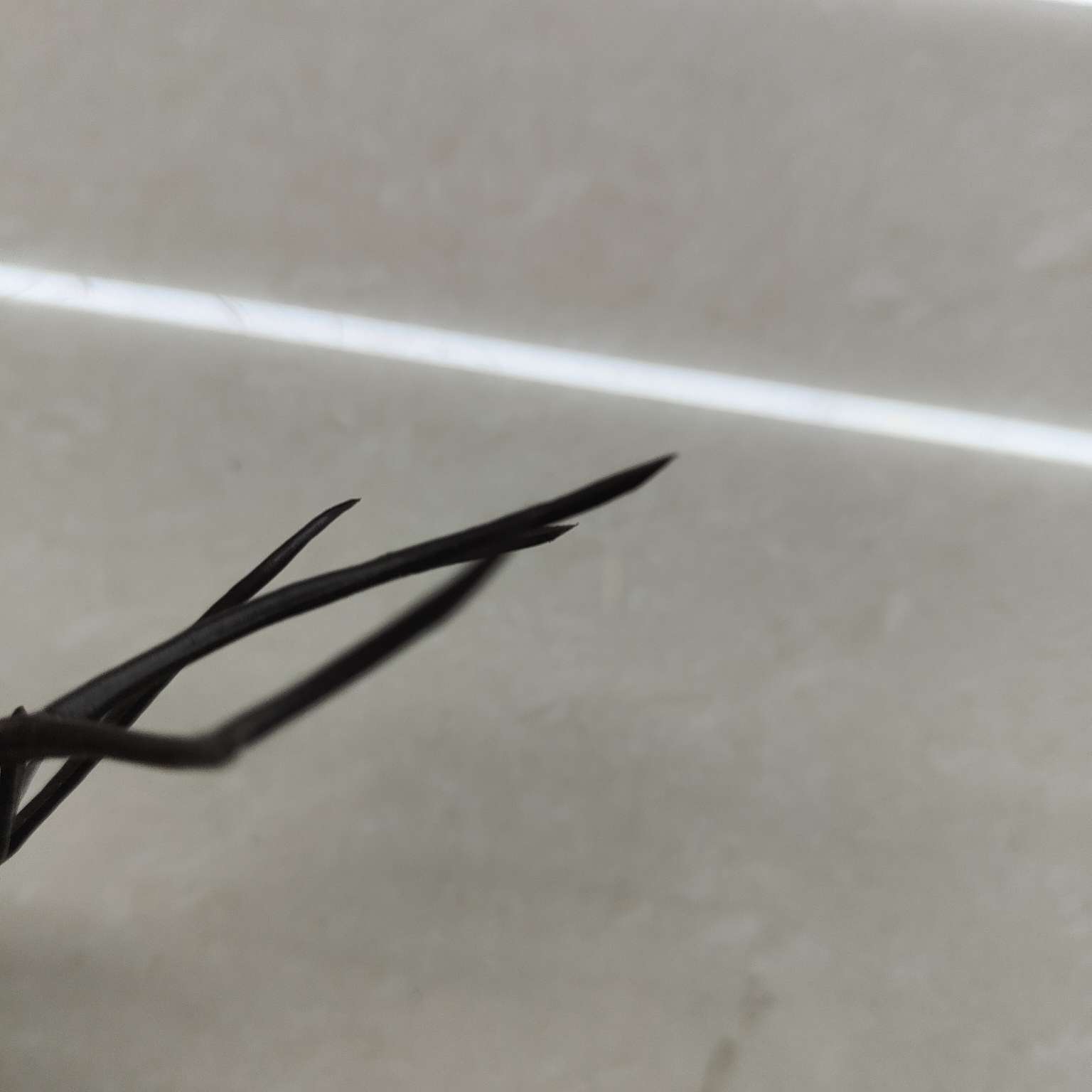 圣诞装饰圣诞配件圣诞节礼物拍摄道具仿真鹿角详情图5