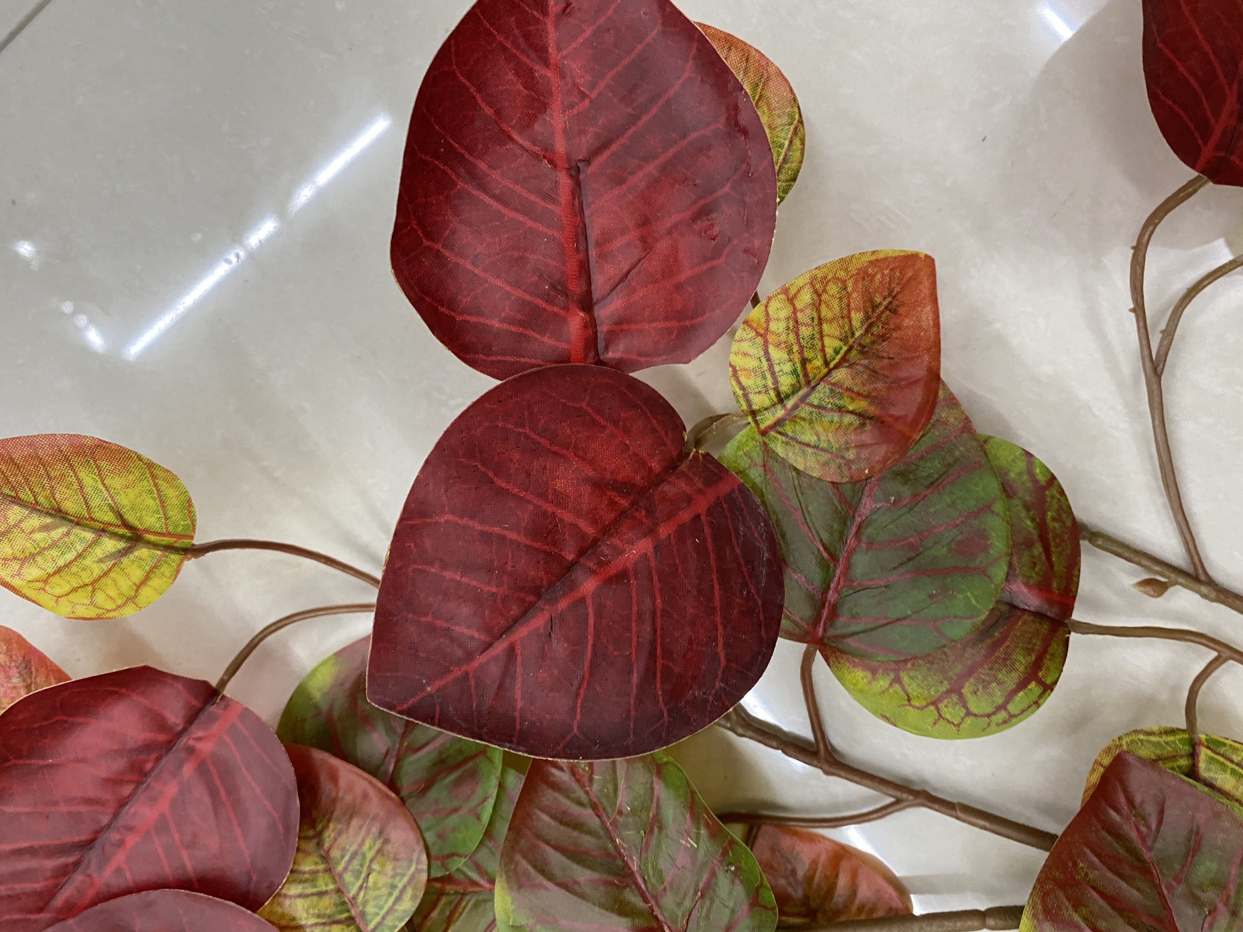 Colorful maple leaves detail image 4