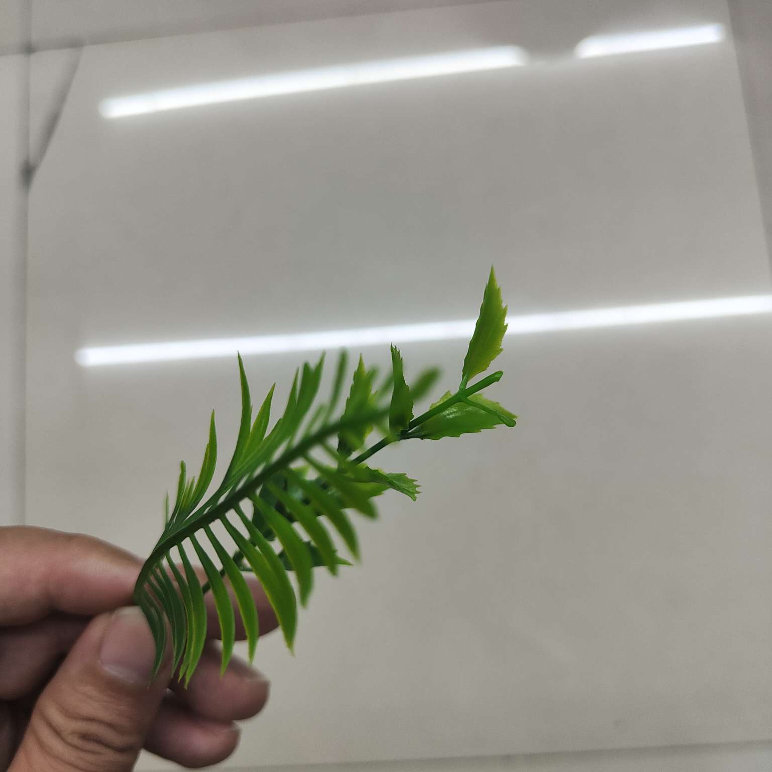 仿真绿植仿真植物摆件塑料水草仿真园艺装饰品456详情图7