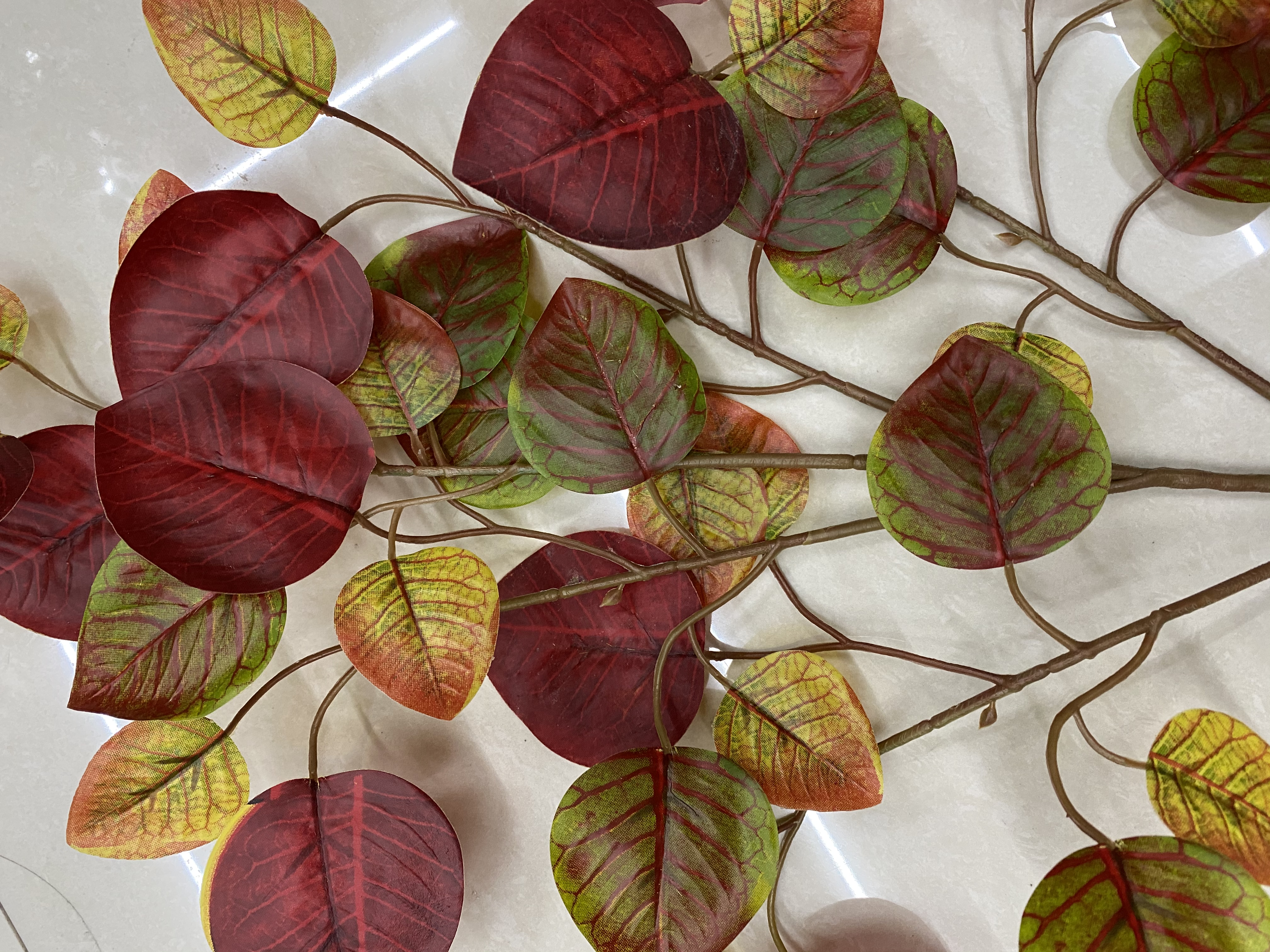 Colorful maple leaves detail image 5