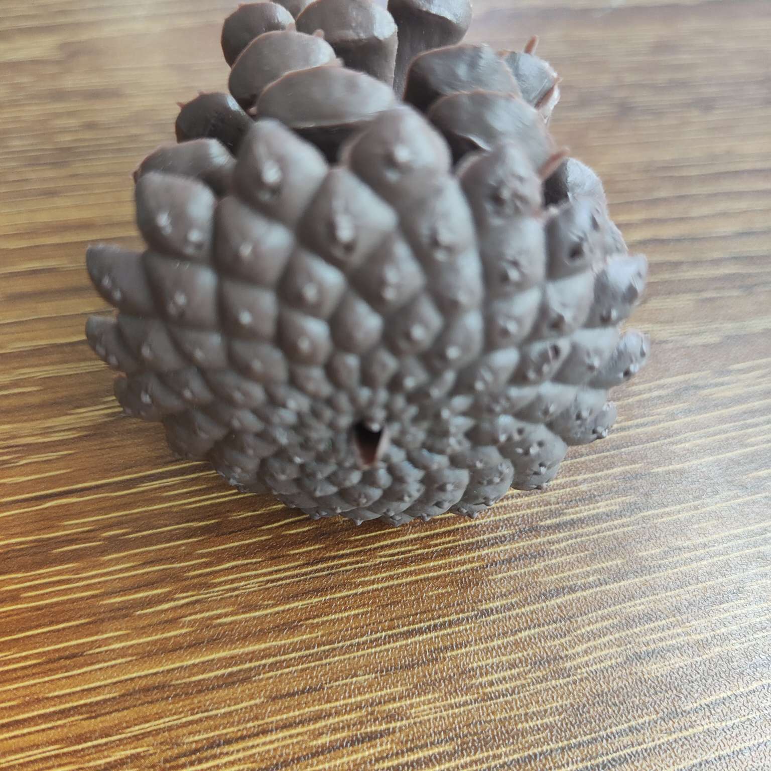 塑料仿真松果假花配件圣诞PE装饰7.5CM详情图17