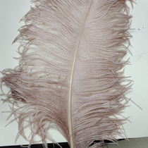 Ostrich feathers 50-55 cm flesh pink