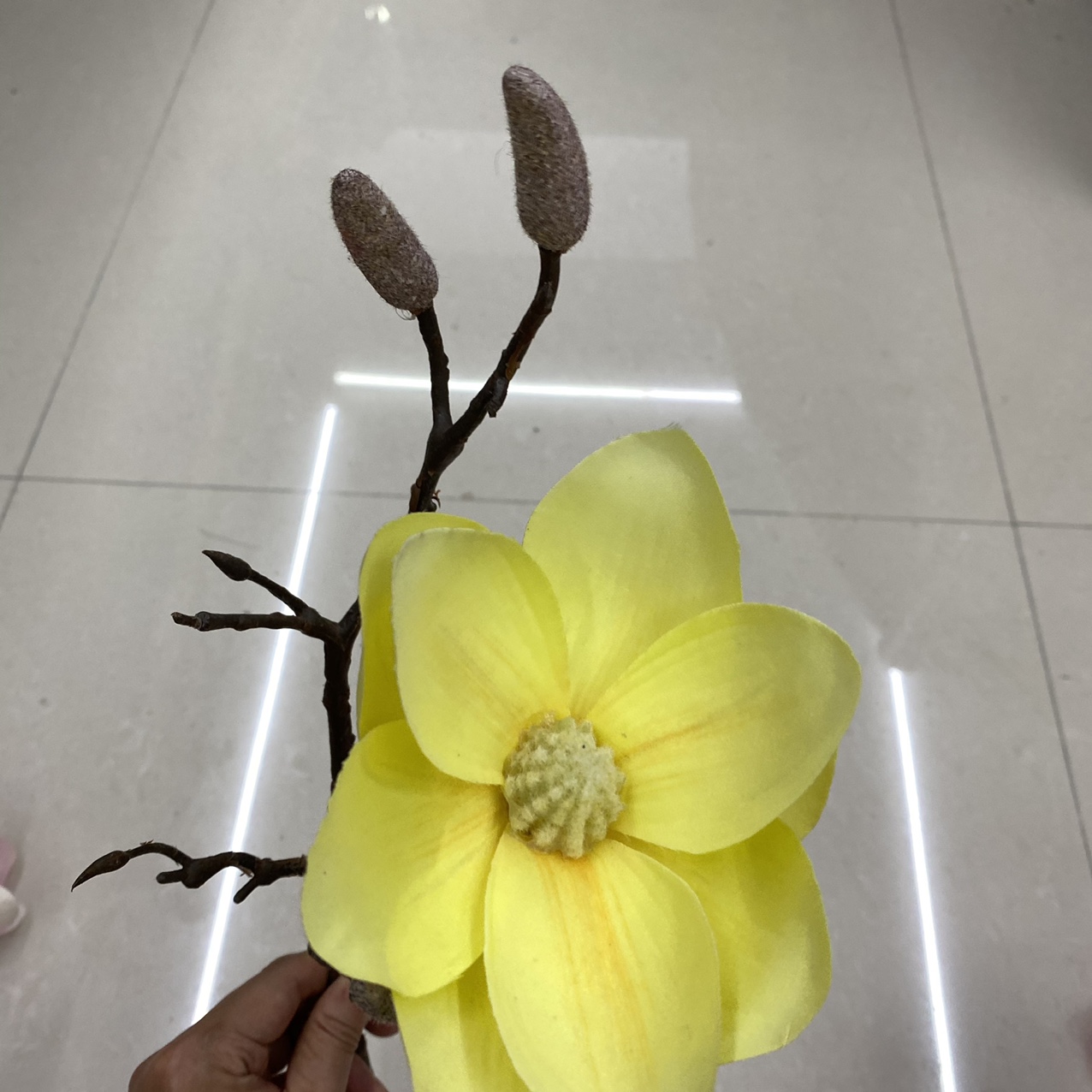Yellow orchid